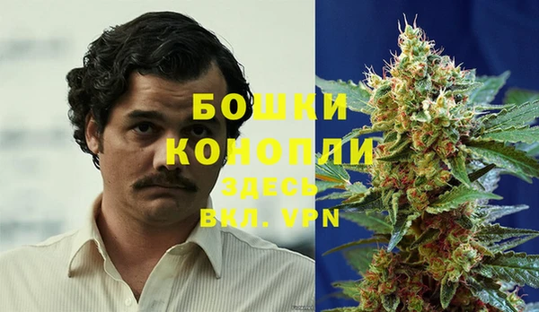 PSILOCYBIN Баксан