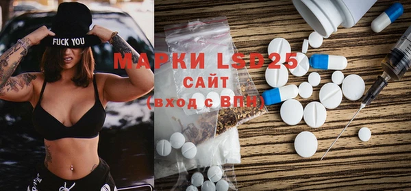PSILOCYBIN Баксан