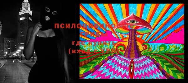 PSILOCYBIN Баксан