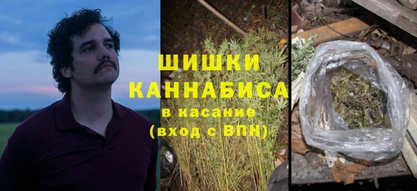 PSILOCYBIN Баксан