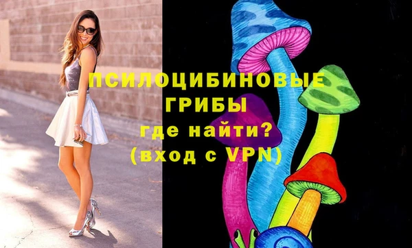 apvp Балахна