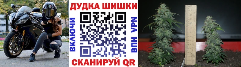 купить закладку Кушва Каннабис OG Kush